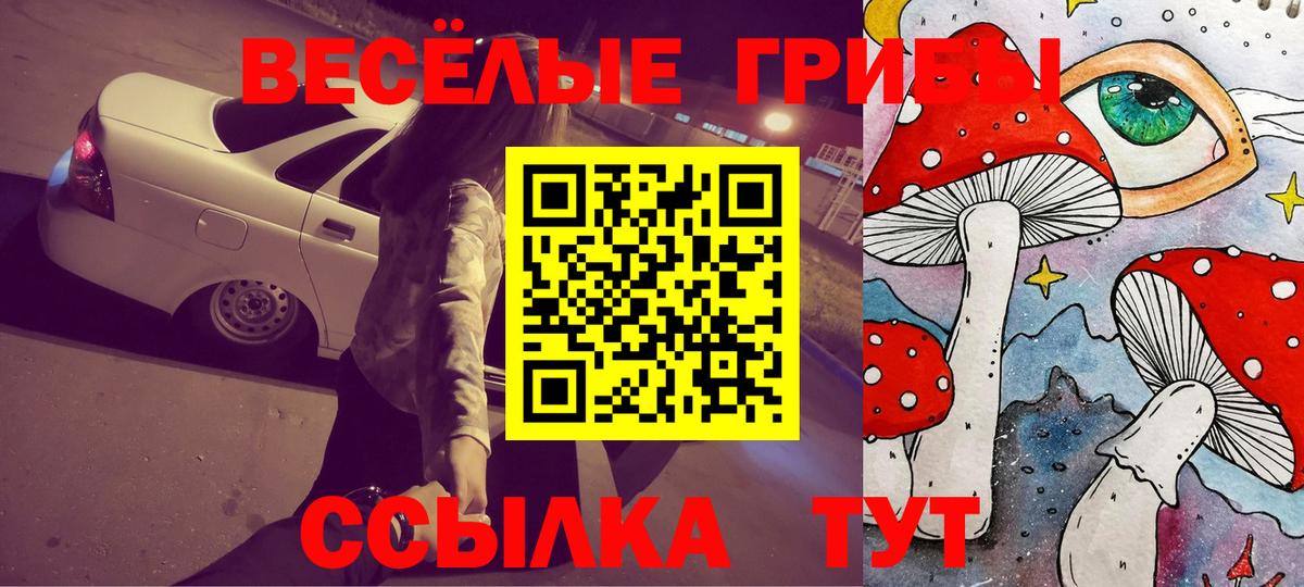 Галлюциногенные грибы Psilocybe Донской